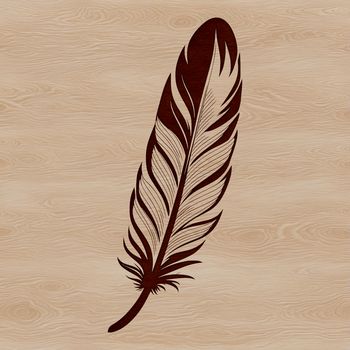 A detailed illustration of a single feather with smooth edges, suitable for vector graphics and cutting machine projects.
