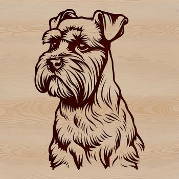 A detailed illustration of a small dog breed with a distinctive beard and eyebrows, suitable for vector art designs.