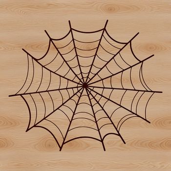 A digital illustration of a detailed spider web in high-resolution vector format.