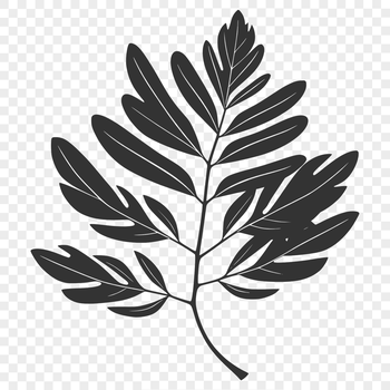 A high-quality digital illustration of a single green leaf with detailed veins.