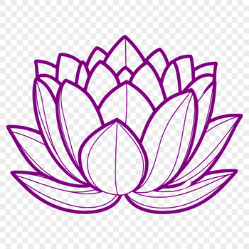 A detailed illustration of the lotus flower, a symbol often associated with various Eastern religions.