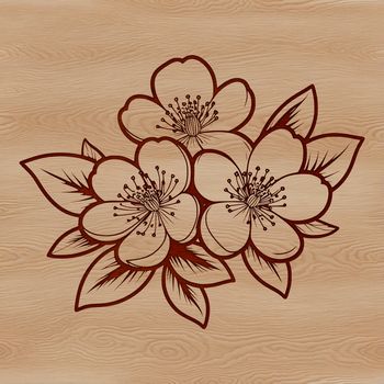 A stylized illustration of a cherry blossom in full bloom, suitable for vector graphics and digital design projects.