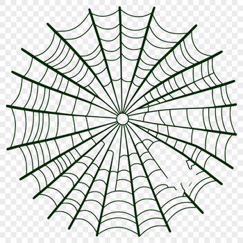 A detailed illustration of a spider web made up of intricate lines and patterns.