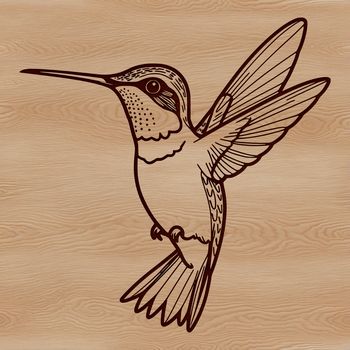 A colorful hummingbird perched on a flower, illustrated as a vector graphic.