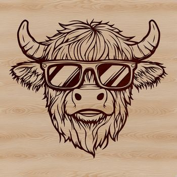 A Scottish Highland cow wearing sunglasses standing on a grassy field background.