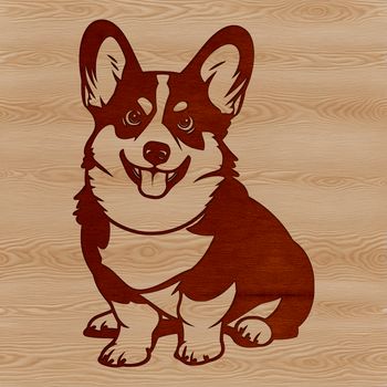 A sitting dog breed with a short stature and long body, often kept as a pet.