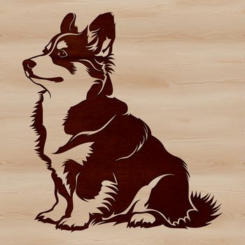 A small, fluffy dog breed, specifically a Corgi, sitting in a relaxed pose.