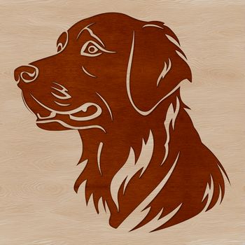 A golden-coated dog with a wagging tail and friendly expression.