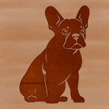 A sitting French Bulldog breed dog with a calm expression.