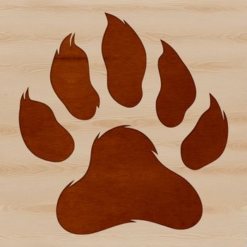 Freehand illustration of a single animal paw with detailed lines.
