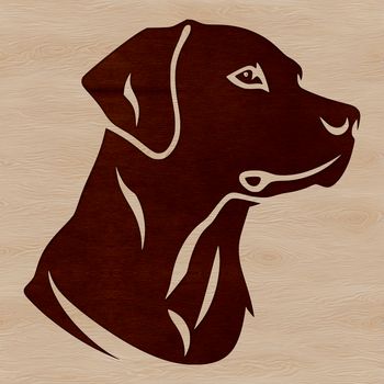 Illustrated Labrador Retriever dog head, suitable for vector art designs.