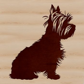 A small breed dog with a typical coat pattern sitting on a plain background.