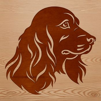 Cocker Spaniel dog breed head illustration in vector format.