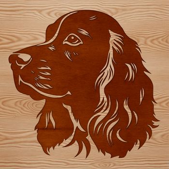 A close-up vector illustration of a Cocker Spaniel's head, suitable for pet owners or animal lovers.