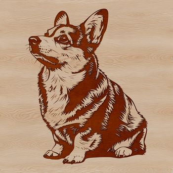 A small-sized Corgi breed dog sitting on its haunches, suitable for vector art designs.
