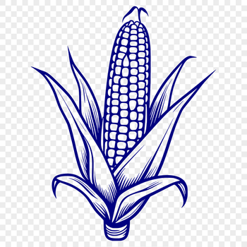 A stylized illustration of a corn plant with kernels.