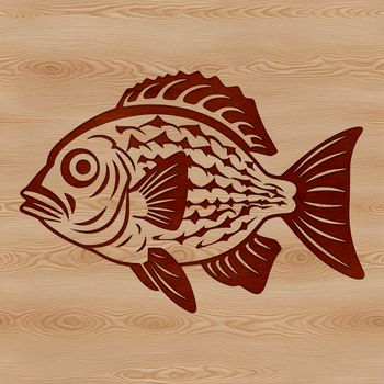 A close-up illustration of a Crappie fish, a type of freshwater game fish found in North America.