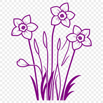 A stylized illustration of a daffodil flower with trumpet-shaped center and long, drooping petals.