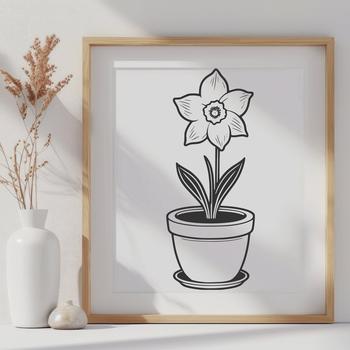 A single white daffodil flower with yellow trumpet-shaped center, growing in a small pot.