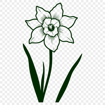 An illustration of a yellow daffodil with green stem and leaves, suitable for graphic design projects.