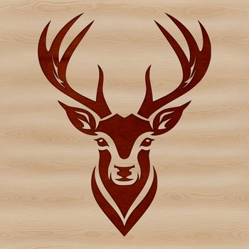 A detailed illustration of a deer's head from various angles, suitable for vector design.