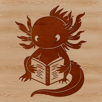 Illustration of a salamander with feathery gills, native to Mexico.