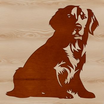 A golden-coated dog sitting with its paws together, suitable for personal or commercial use as a vector design.