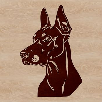 A detailed illustration of a Doberman Pinscher's head, rendered in vector format.