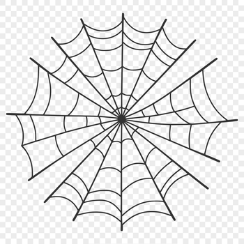 A delicate, intricately detailed SVG illustration of a spider web in 2D vector format.
