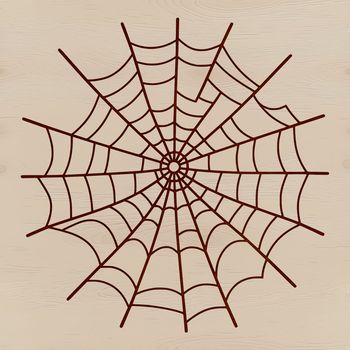 A intricate vector design of a spider's web with symmetrical patterns and lines.