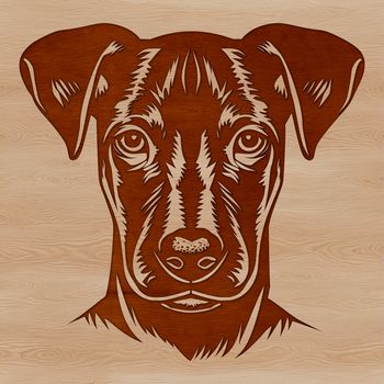 A detailed SVG image of a Doberman Pinscher's facial features suitable for customization and commercial use.
