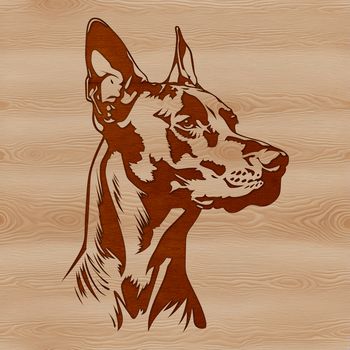 Vector art representation of a Doberman Pinscher dog breed, ideal for clip art design.