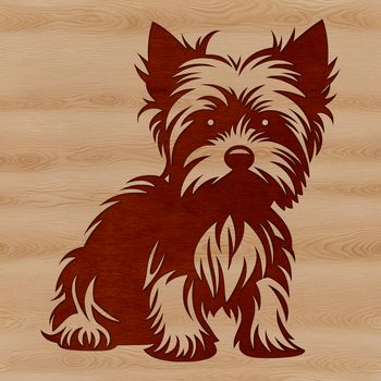 A small breed dog with a typical Yorkshire terrier coat sitting on its haunches.