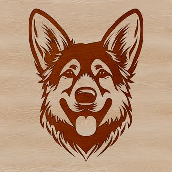 A portrait of a German shepherd with a strong head and loyal expression.