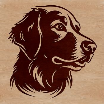 A golden-colored dog with a friendly expression, suitable for use in vector design projects.