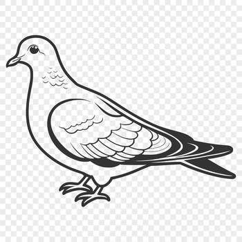 A simple white dove perched on a branch, created as a vector art design.
