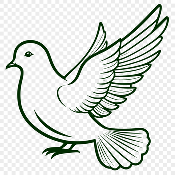 A dove illustration created as a vector graphic, suitable for various design applications.