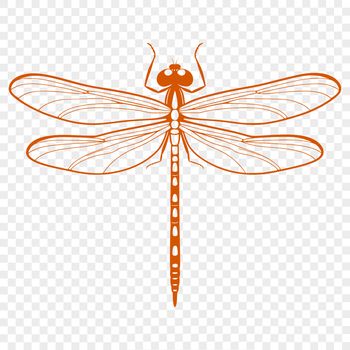 A colorful dragonfly in mid-flight, depicted as a vector graphic.