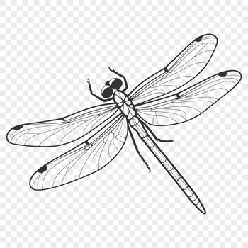 An SVG vector graphic of a dragonfly for cutting or design purposes.