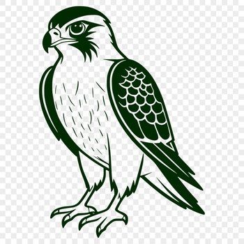 A high-resolution vector graphic of a falcon, ideal for use with cutting machines like Cricut or laser engraving tools.
