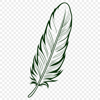 A single white feather with intricate details, suitable for vector design and cutting machine projects.