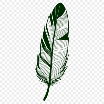 A simple design element featuring a stylized feather with clean lines and minimal details.