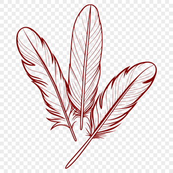 A detailed vector illustration of a single feather with distinct shapes and lines.