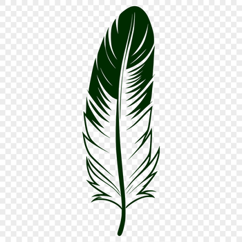 A single white bird feather with subtle texture and details.