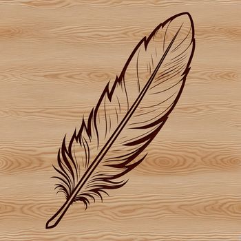 A single white feather with delicate curves and lines, suitable for vector art projects.