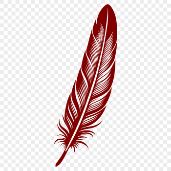 A detailed illustration of a single feather in various forms.
