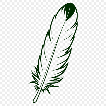 A simple illustration of a feather in vector format, suitable for digital designs.