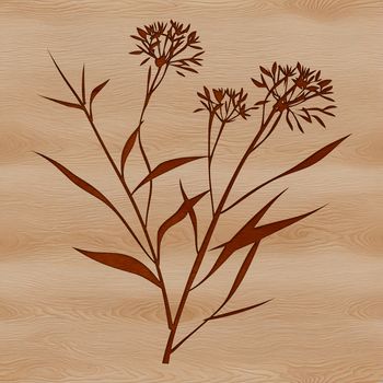 A high-resolution vector drawing of a wild flower suitable for various digital designs.