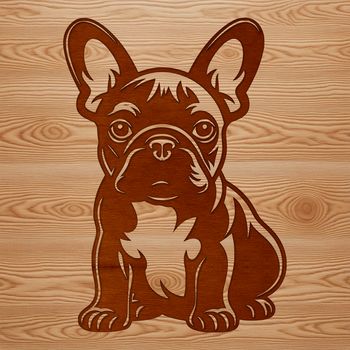 A sitting French Bulldog breed dog as a vector graphic illustration.