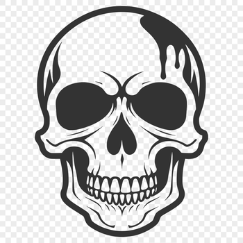 A stylized illustration of a skull with intricate details, suitable for use in various design projects.